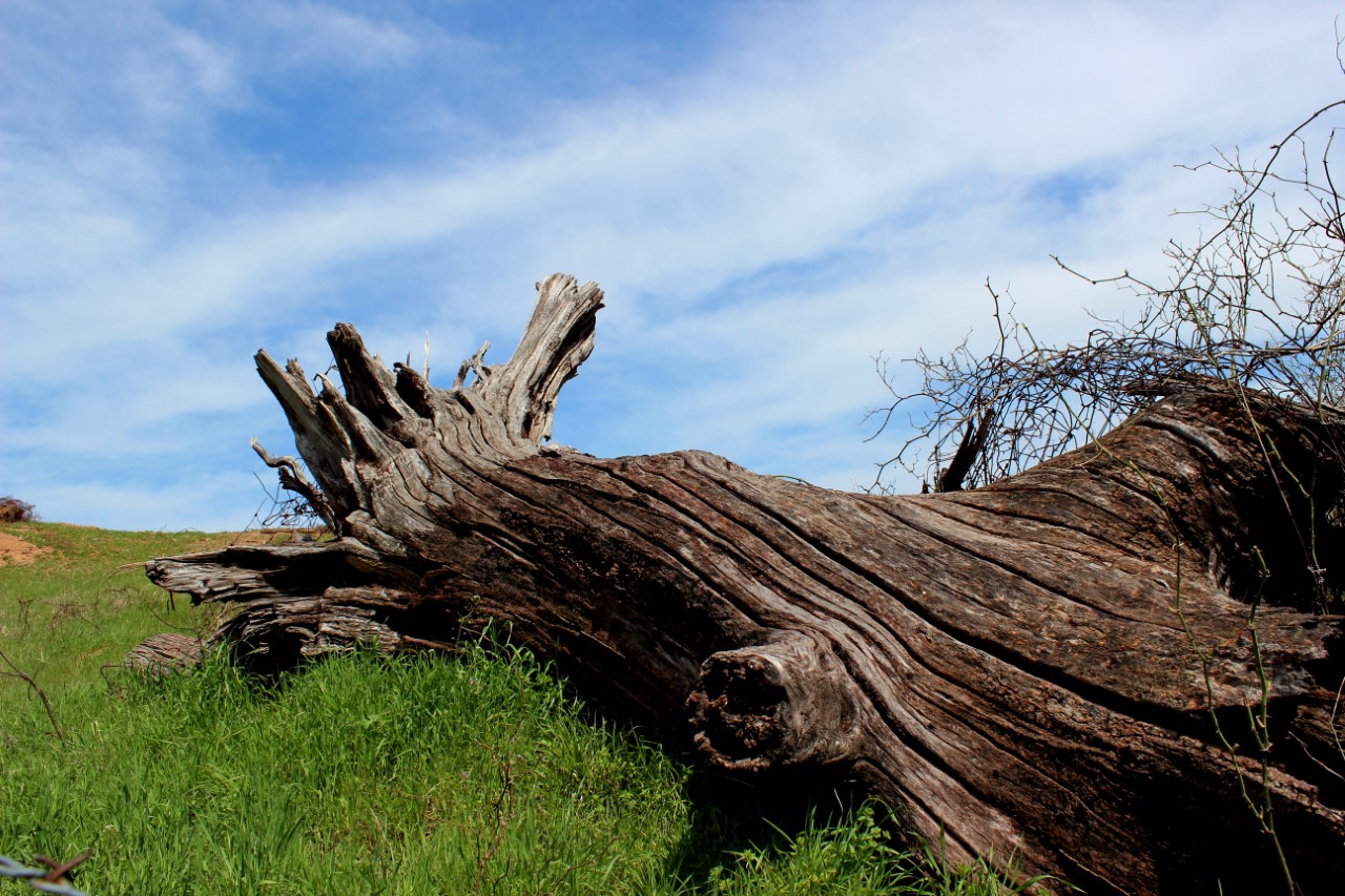 March Photo Contest